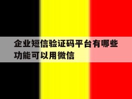 企业短信验证码平台有哪些功能可以用微信