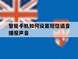 智能手机如何设置短信语音播报声音