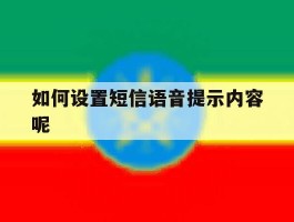 如何设置短信语音提示内容呢