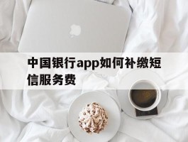 中国银行app如何补缴短信服务费