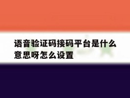 语音验证码接码平台是什么意思呀怎么设置
