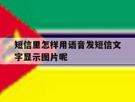 包含短信里怎样用语音发短信文字显示图片呢的词条