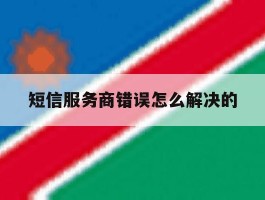 短信服务商错误怎么解决的