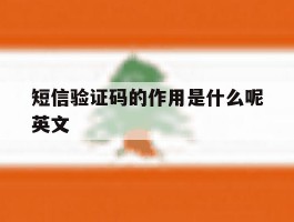 短信验证码的作用是什么呢英文