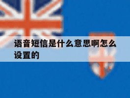 语音短信是什么意思啊怎么设置的