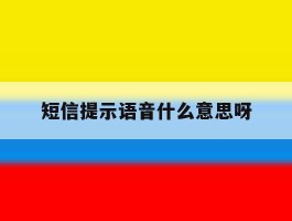短信提示语音什么意思呀