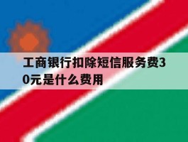 工商银行扣除短信服务费30元是什么费用
