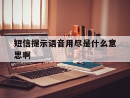 短信提示语音用尽是什么意思啊