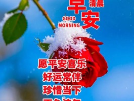 营销短信问候语怎么说的