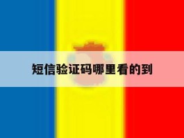 短信验证码哪里看的到