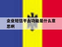 企业短信平台功能是什么意思啊