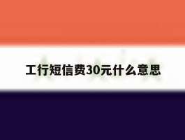 工行短信费30元什么意思