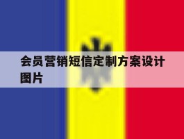 会员营销短信定制方案设计图片