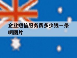 企业短信服务费多少钱一条啊图片