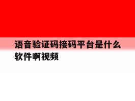 语音验证码接码平台是什么软件啊视频