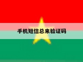 手机短信总来验证码