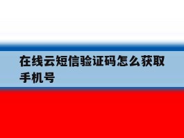 在线云短信验证码怎么获取手机号
