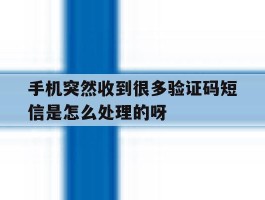 手机突然收到很多验证码短信是怎么处理的呀的简单介绍