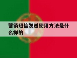 营销短信发送使用方法是什么样的