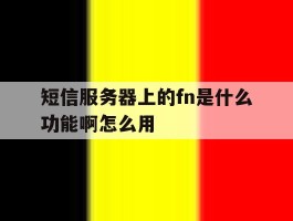 包含短信服务器上的fn是什么功能啊怎么用的词条