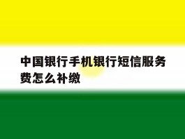 中国银行手机银行短信服务费怎么补缴