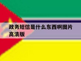 政务短信是什么东西啊图片高清版