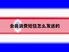 会员消费短信怎么发送的