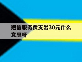 短信服务费支出30元什么意思呀