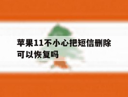 关于苹果11不小心把短信删除可以恢复吗的信息
