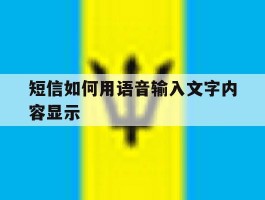 短信如何用语音输入文字内容显示
