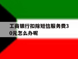 工商银行扣除短信服务费30元怎么办呢的简单介绍