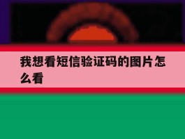 我想看短信验证码的图片怎么看