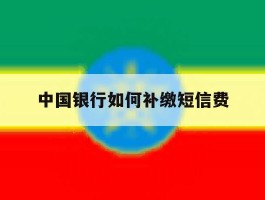 中国银行如何补缴短信费