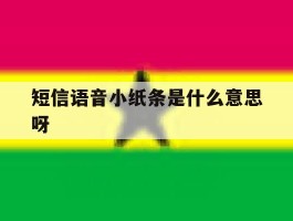 短信语音小纸条是什么意思呀
