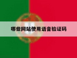 哪些网站使用语音验证码