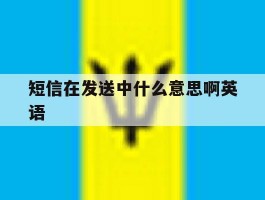 短信在发送中什么意思啊英语