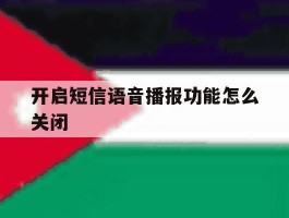 开启短信语音播报功能怎么关闭