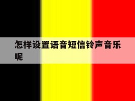 怎样设置语音短信铃声音乐呢的简单介绍
