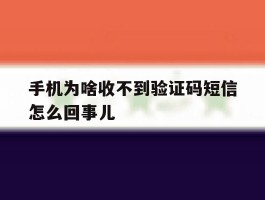 手机为啥收不到验证码短信怎么回事儿