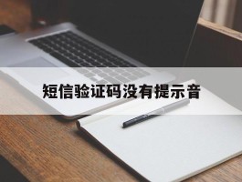 短信验证码没有提示音
