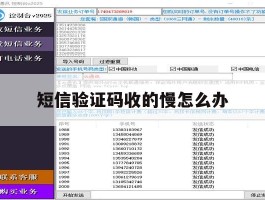 短信验证码收的慢怎么办