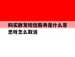 购买群发短信服务是什么意思呀怎么取消