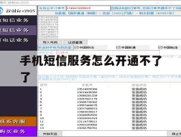 手机短信服务怎么开通不了了