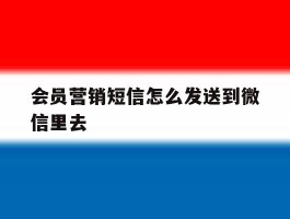 会员营销短信怎么发送到微信里去