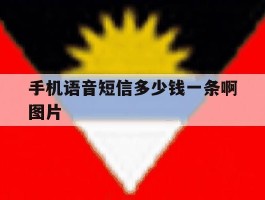 手机语音短信多少钱一条啊图片