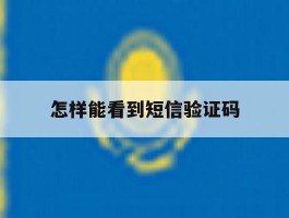 怎样能看到短信验证码