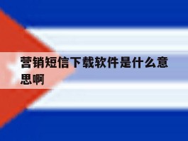 营销短信下载软件是什么意思啊