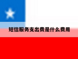 短信服务支出费是什么费用