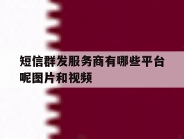 短信群发服务商有哪些平台呢图片和视频的简单介绍