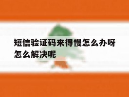短信验证码来得慢怎么办呀怎么解决呢
